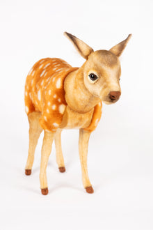 Hansa Sika Deer Fawn Standing