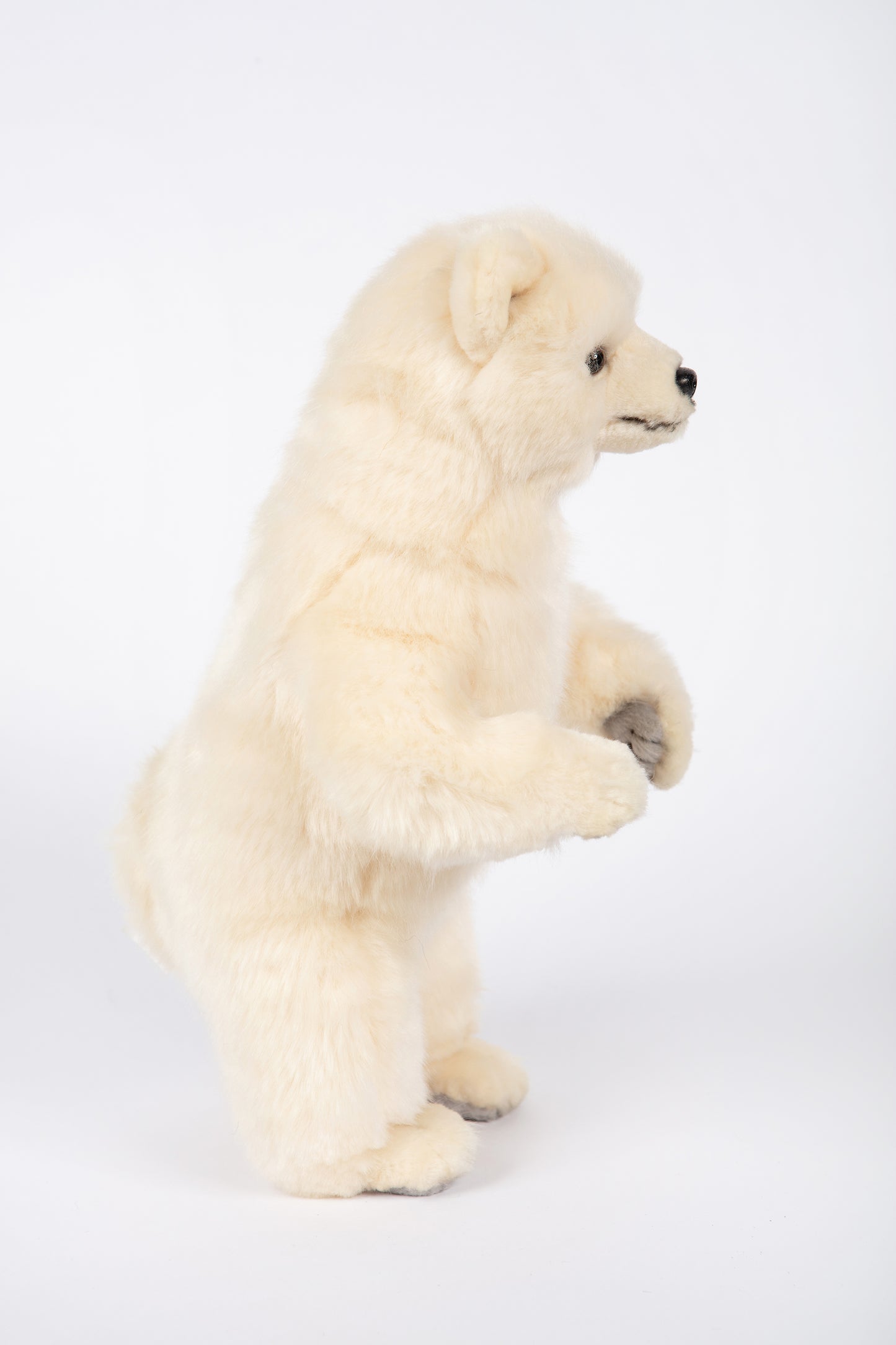 Hansa Polar Bear Standing