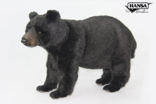 Hansa Black Bear Standing