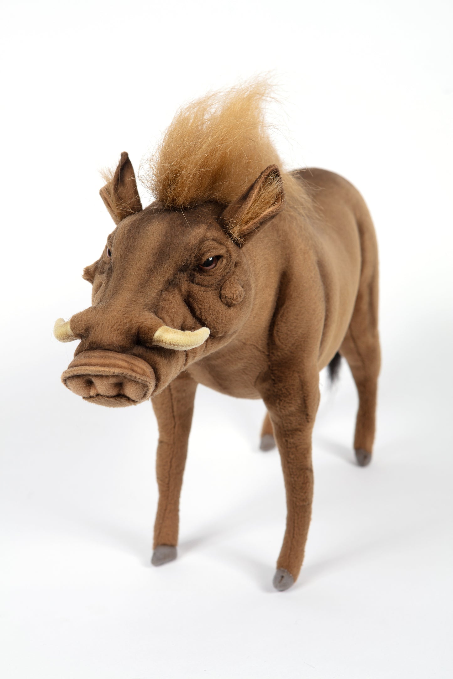 Hansa Warthog