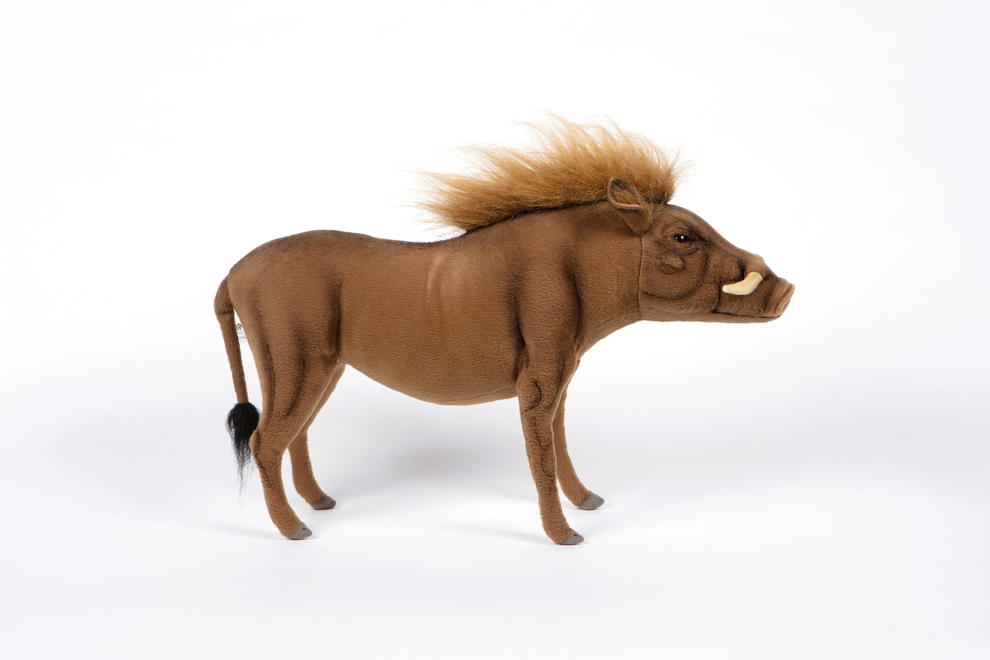 Hansa Warthog