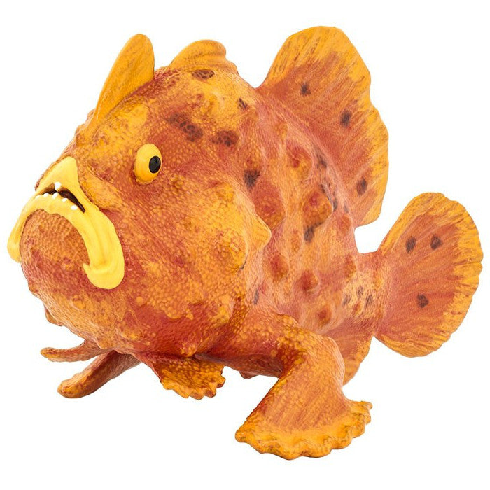 Safari Frogfish
