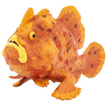 Safari Frogfish