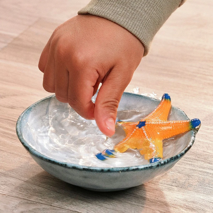 Schleich Starfish Color Change