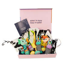 PlayEasy Baby's First Playtime