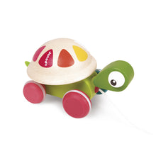 Janod Zigolos Pull Along Turtle