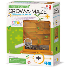 4M Green Science - Grow-A-Maze