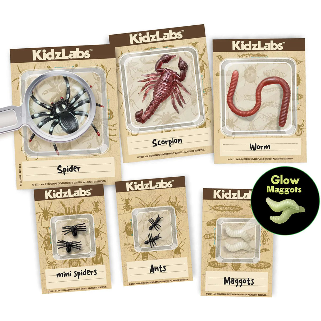 4M KidzLabs - Creepy Crawly Digging Kit