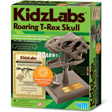 4M KidzLabs - Roaring T-Rex Skull