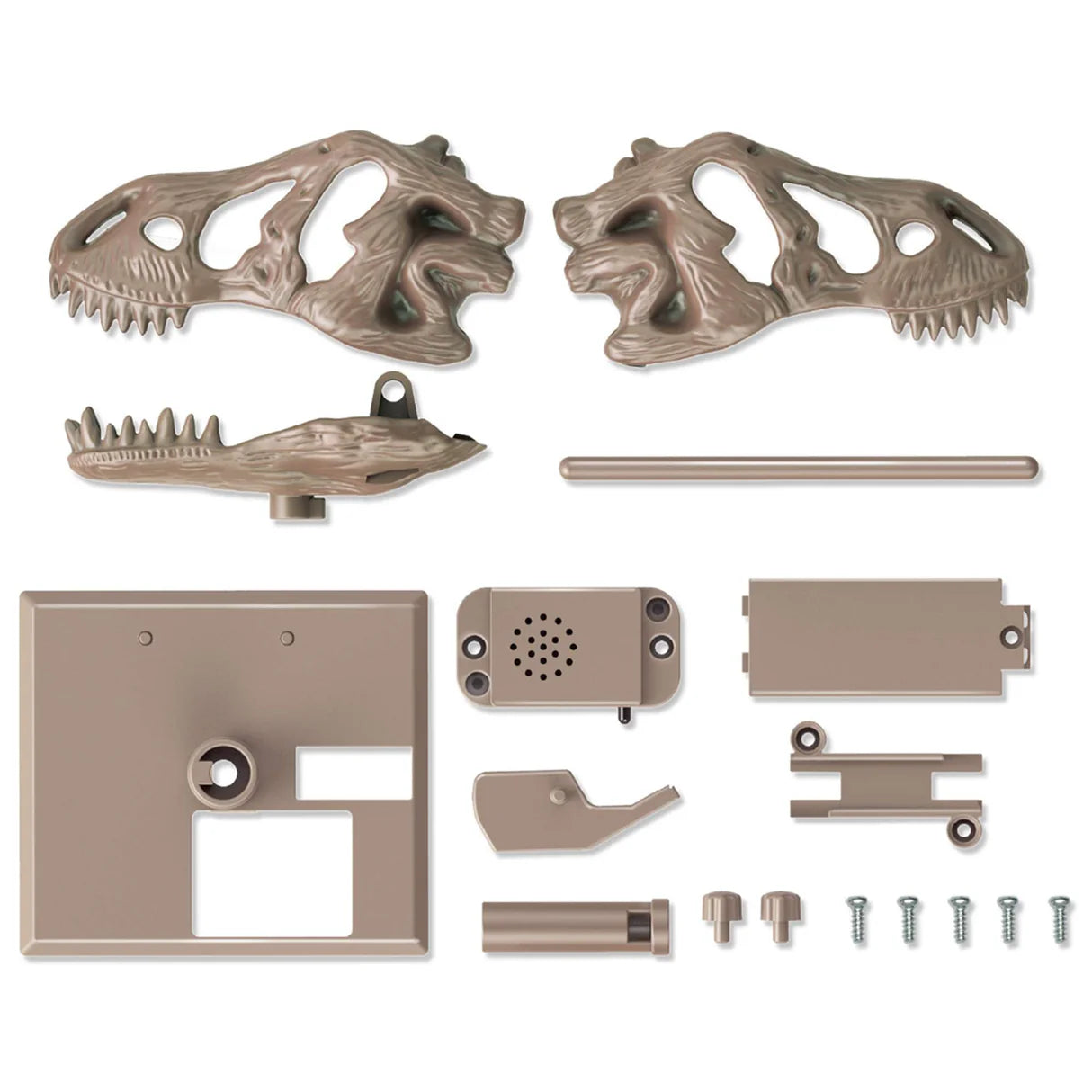 4M KidzLabs - Roaring T-Rex Skull