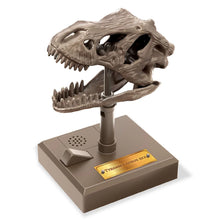 4M KidzLabs - Roaring T-Rex Skull