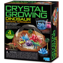 4M Crystal Growing - Dino Crystal Terrarium