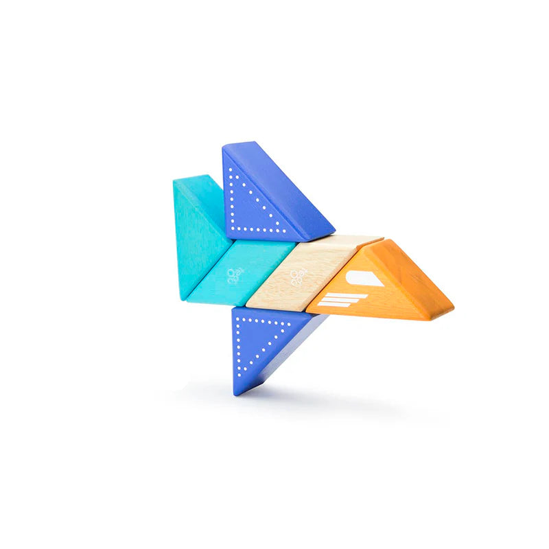 Tegu Travel Pal - Jet Plane