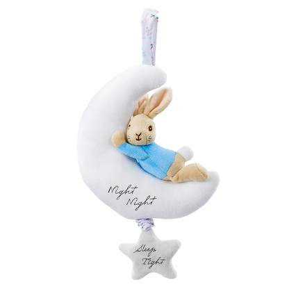 Rainbow Designs  Night Night Musical Peter Rabbit