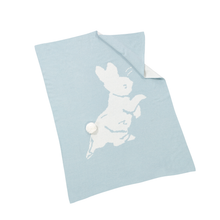 Rainbow Designs  Peter Rabbit Signature Knitted Blanket with Soft Toy