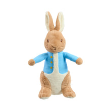 Rainbow Designs  24cm Peter Rabbit Soft Toy
