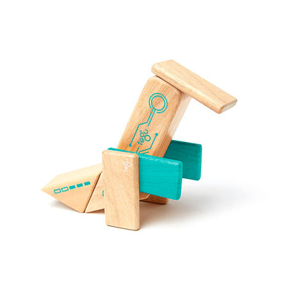 Tegu Robo