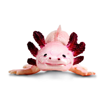Safari Axolotl*