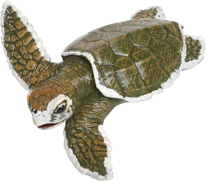 Safari Kemp´s Ridley Sea Turtle Baby