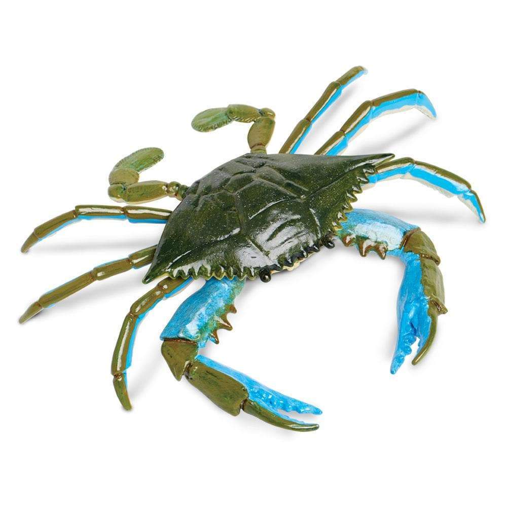 Safari Blue Crab