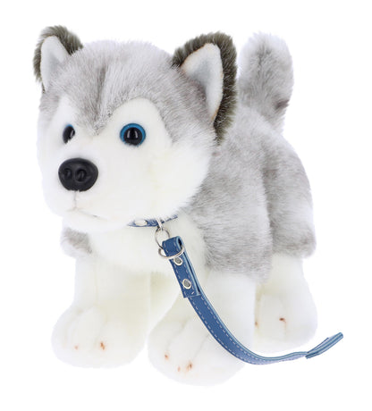 Keel Toys 30cm Signature Forever Puppy On Lead 6 Asstd (1 Chosen)