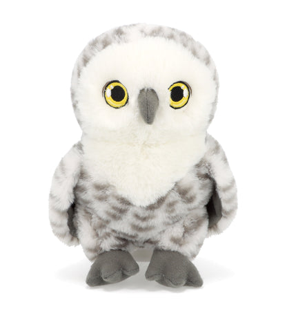 Keel Toys 18cm Keeleco Owl 3 Asstd (1 Chosen)