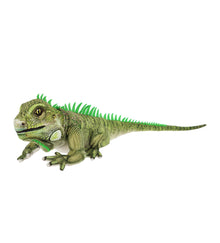 Keel Toys 65cm Keeleco Iguana