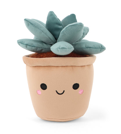 Keel Toys  25cm Keeleco Botanical Garden 6 Asstd