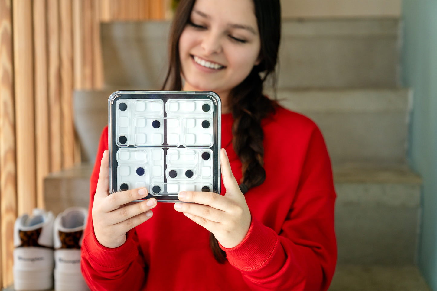 Smart Games Dice Deduction