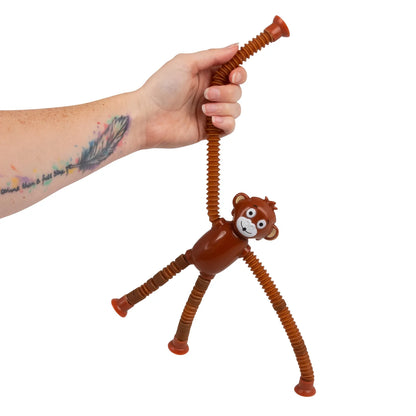 HGL Animal Pop Tube Assortment ( 1 Chosen at Random)