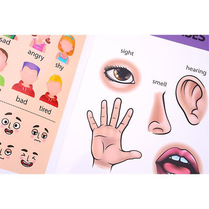 Ormond A4 14Pg Wipe Clean Activity Book Body Parts And The Five Senses