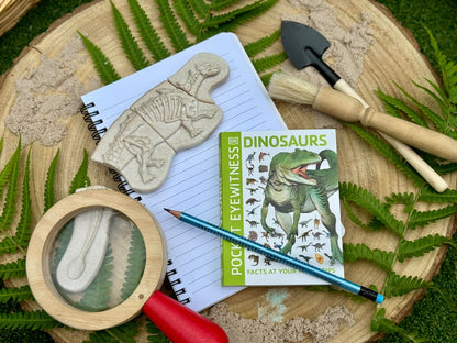 Yellow Door Dig and Discover – Ankylosaurus & T Rex