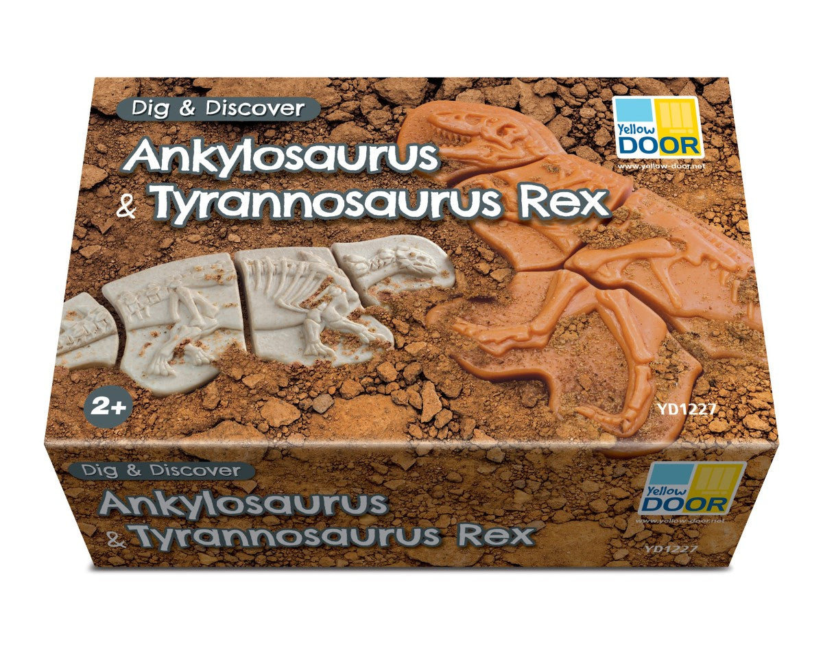 Yellow Door Dig and Discover – Ankylosaurus & T Rex
