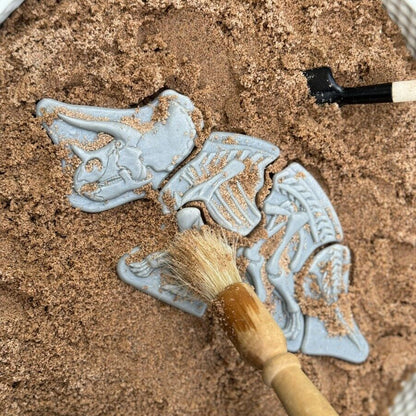 Yellow Door Dig and Discover – Triceratops & Spinosaurus