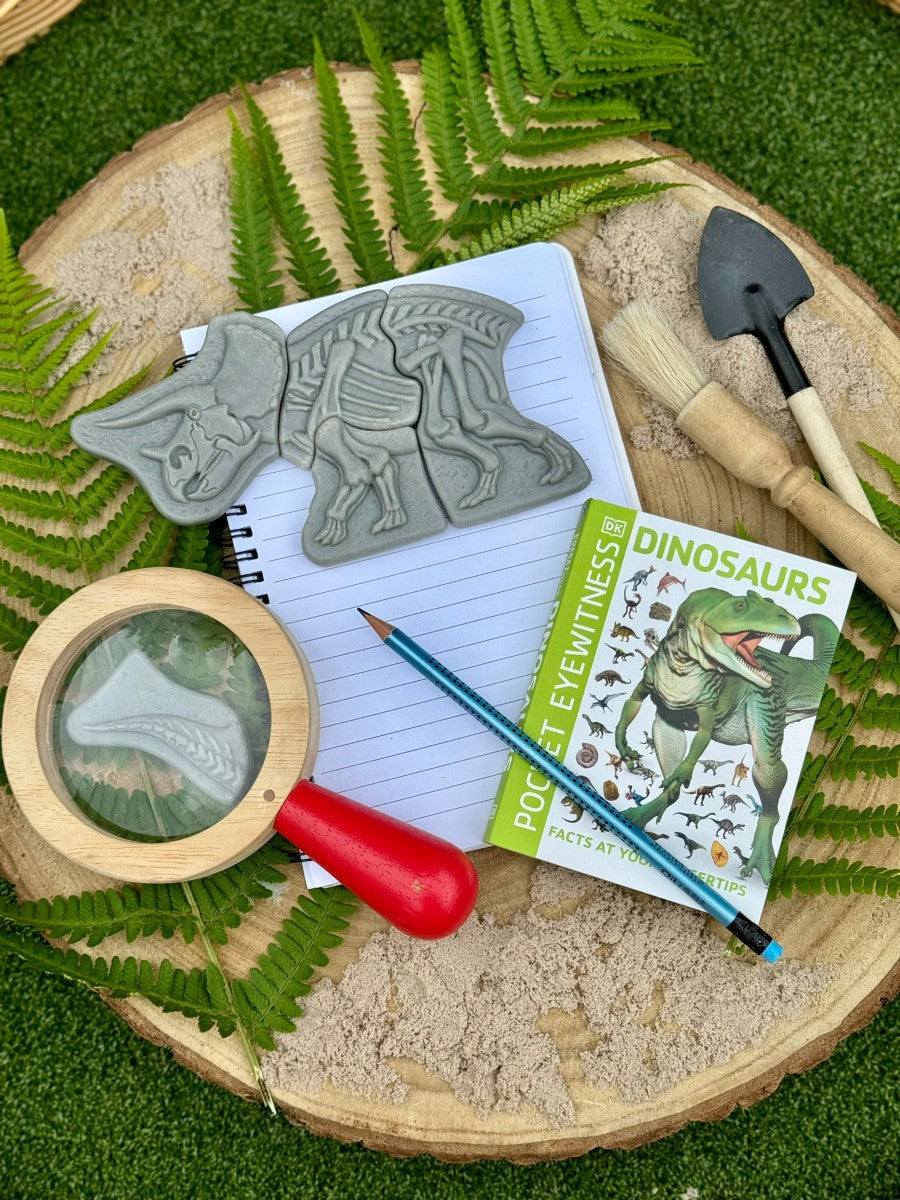 Yellow Door Dig and Discover – Triceratops & Spinosaurus