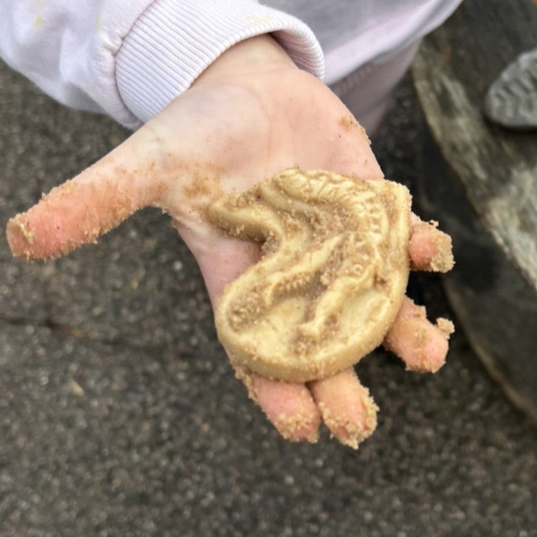 Yellow Door Dig and Discover – Triceratops & Spinosaurus