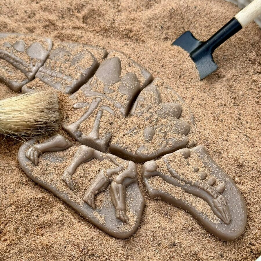 Yellow Door Dig and Discover – Pliosaur & Stegosaurus