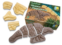 Yellow Door Dig and Discover – Pliosaur & Stegosaurus