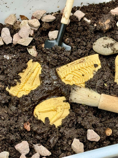 Yellow Door Dig and Discover – Pliosaur & Stegosaurus