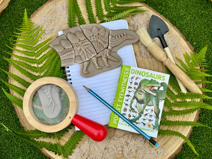 Yellow Door Dig and Discover – Pliosaur & Stegosaurus