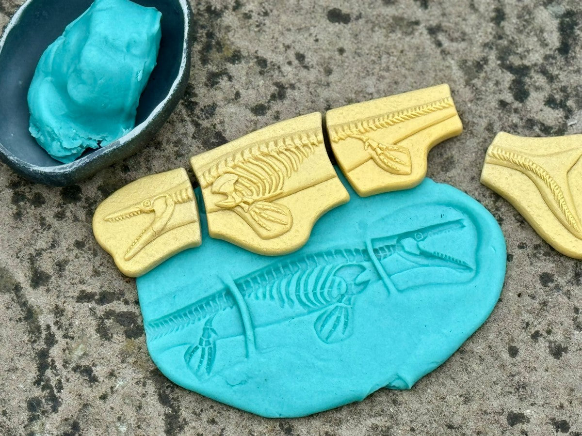 Yellow Door Dig and Discover – Pliosaur & Stegosaurus