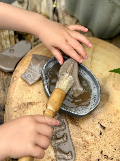 Yellow Door Dig and Discover – Pliosaur & Stegosaurus