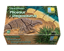 Yellow Door Dig and Discover – Pliosaur & Stegosaurus