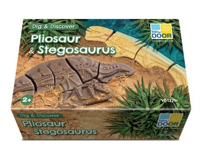 Yellow Door Dig and Discover – Pliosaur & Stegosaurus