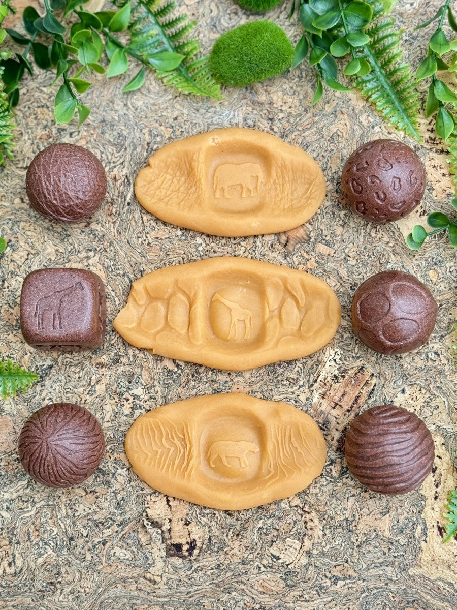 Yellow Door Roll Around – Wild Animals