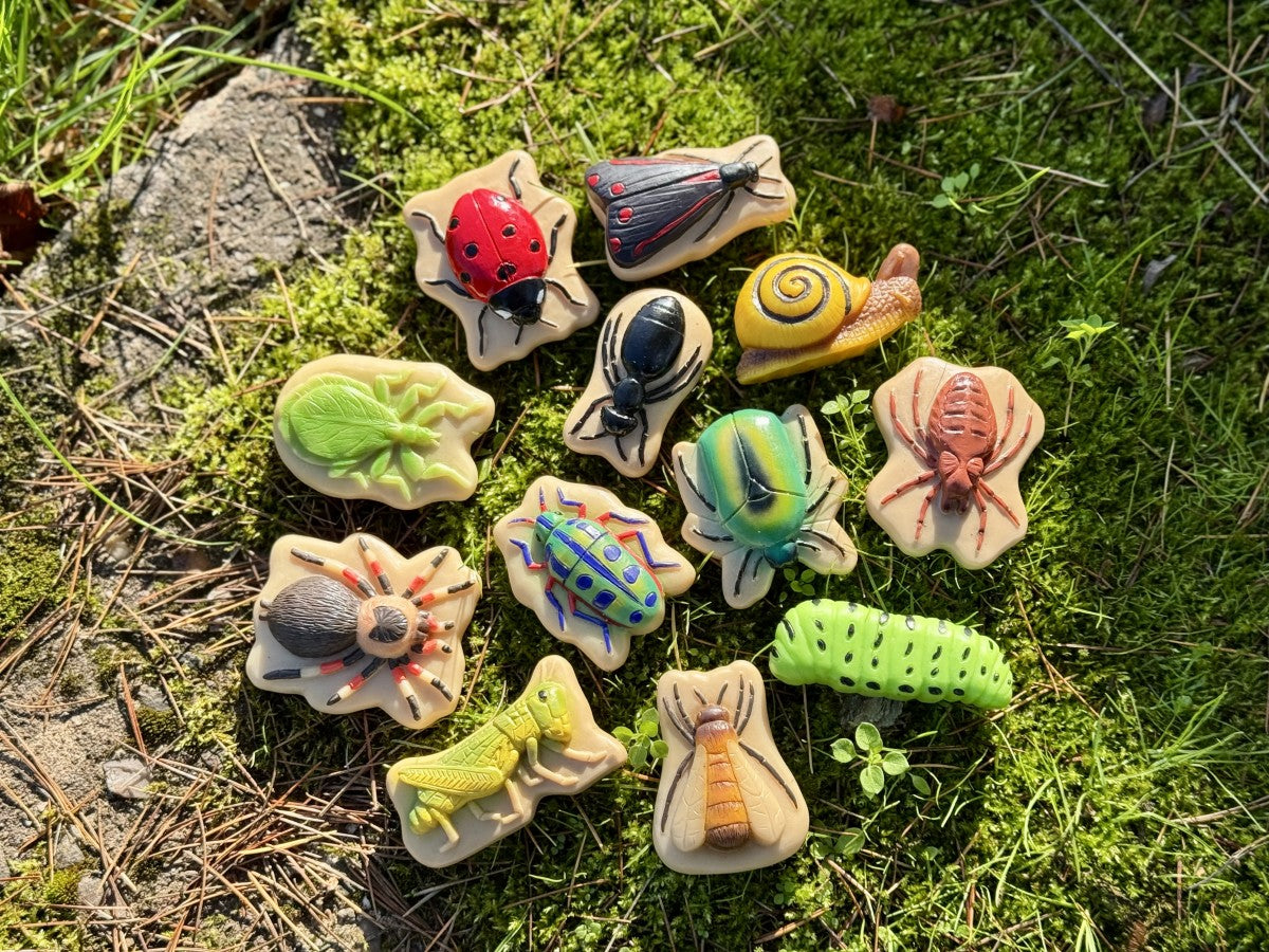Yellow Door Sensory Play Stones – Bugs