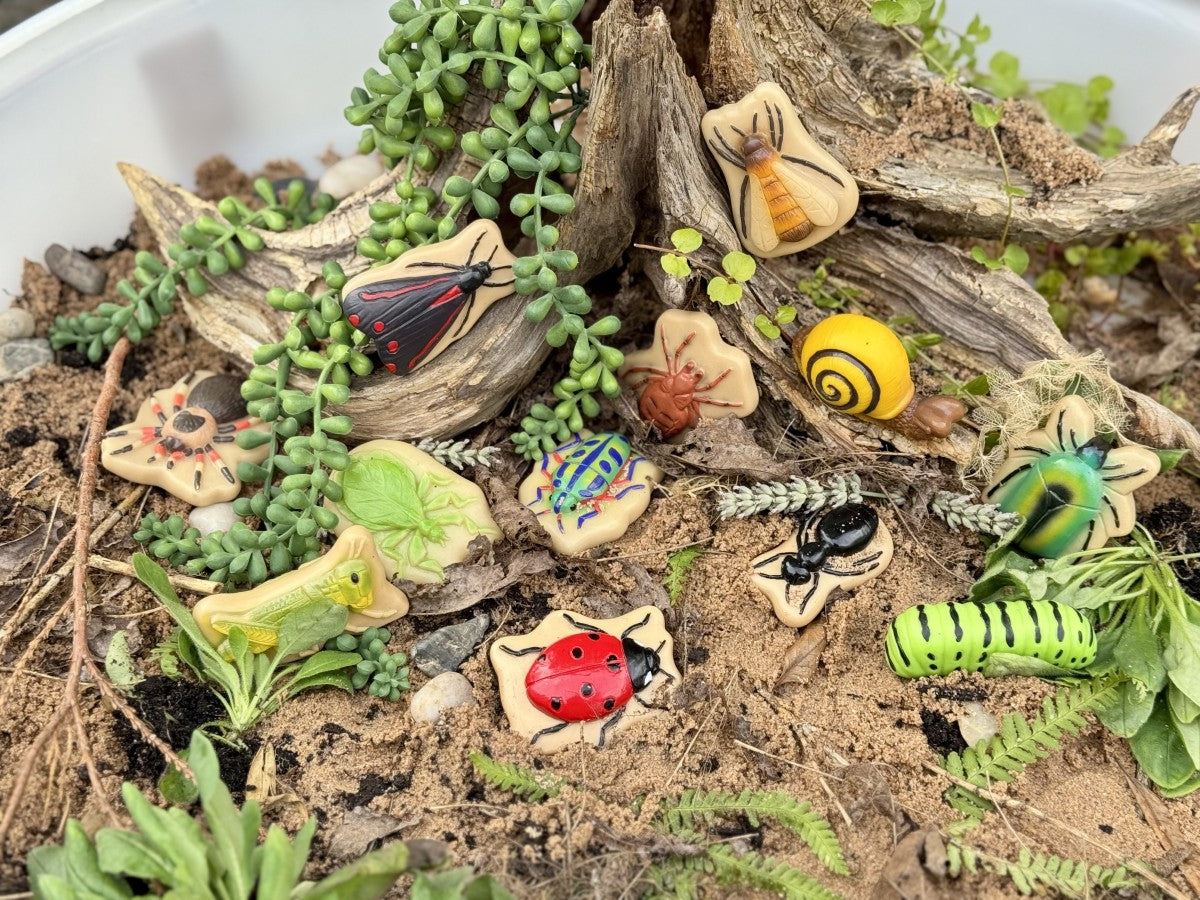 Yellow Door Sensory Play Stones – Bugs