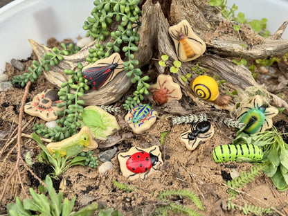 Yellow Door Sensory Play Stones – Bugs