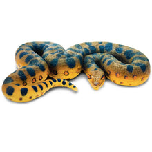 Safari Green Anaconda