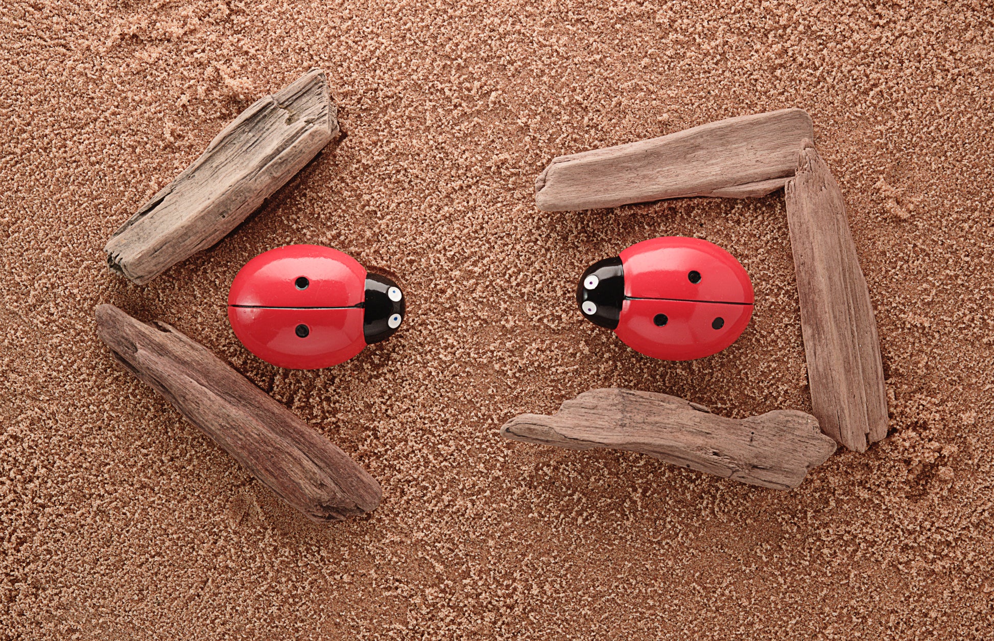 Yellow Door Ladybug Counting Stones